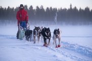 Gast lenkt ein Hundeschlittenteam über den gefrorenen See