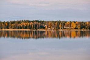 Herbstwald spiegelt sich im klaren See