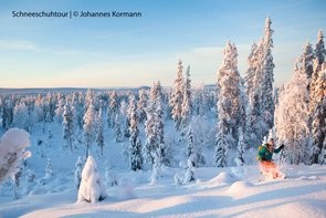 [Translate to Schwedisch:] Schneeschuhwanderer im Schneehang