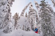 Schneeschuhwanderer im tief verschneiten Wald