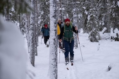 Skiwandern durch den Wald