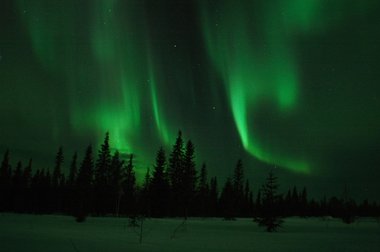 Nordlicht in Lappland im Wald